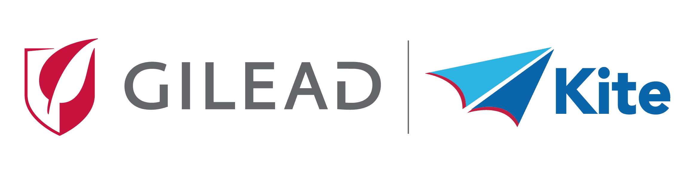 Gilead Kite